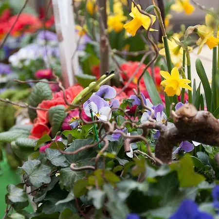 Garni Hotel Drei Lilien Hotell