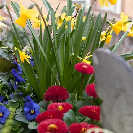 Garni Hotel Drei Lilien Hotel