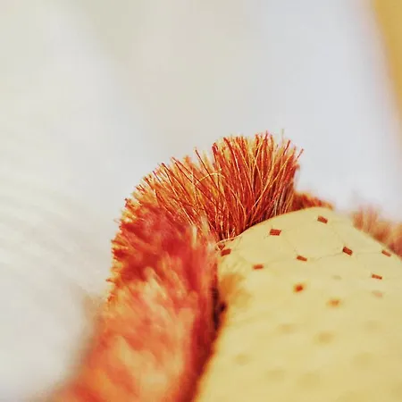 Garni Hotel Drei Lilien 3*