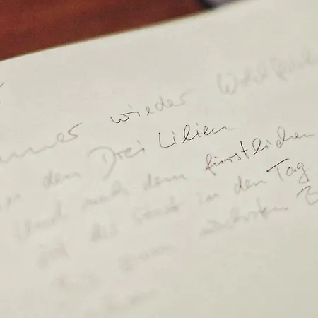 Hotell Garni Hotel Drei Lilien 3*