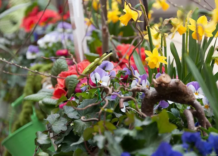 Garni Hotel Drei Lilien Hotel