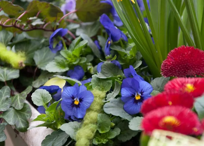 Garni Hotel Drei Lilien Hotel 3*