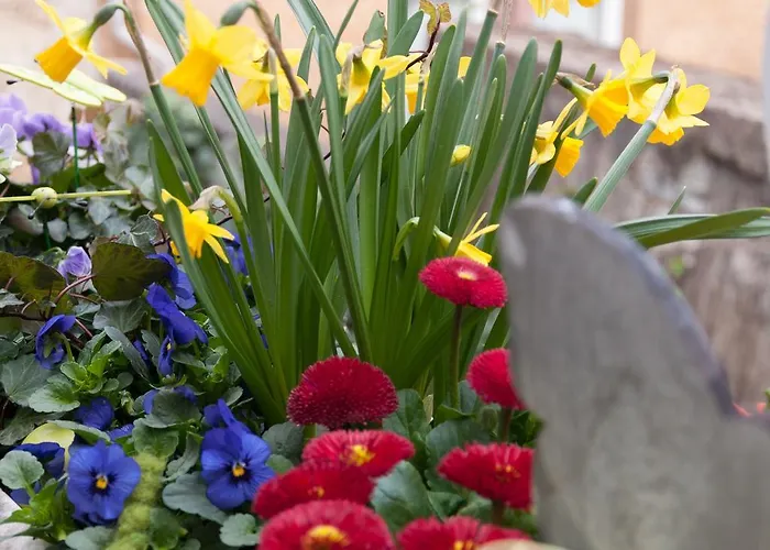 Garni Hotel Drei Lilien Hotel