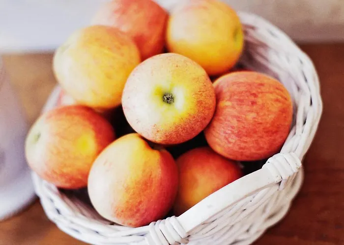 Hotel Garni Hotel Drei Lilien 3*