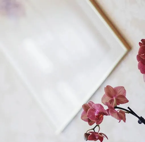 Garni Hotel Drei Lilien Hotel 3*