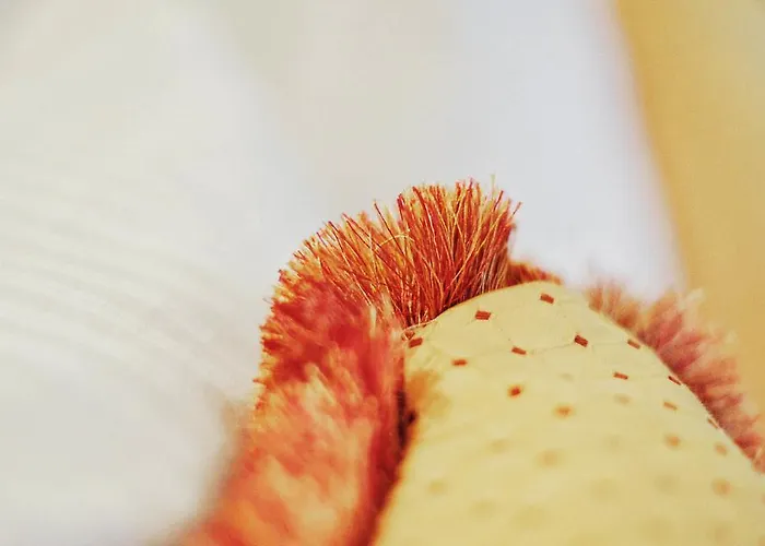 Garni Hotel Drei Lilien 3*