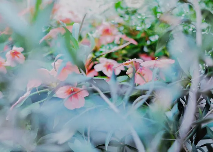 Garni Hotel Drei Lilien Hotel