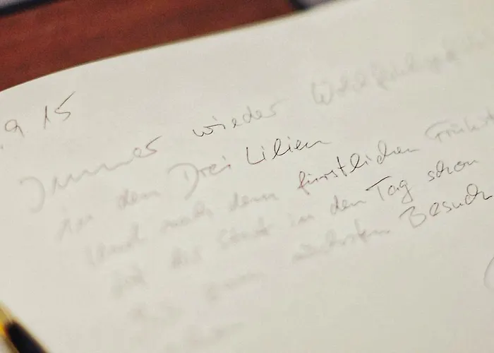 Hotel Garni Hotel Drei Lilien 3*